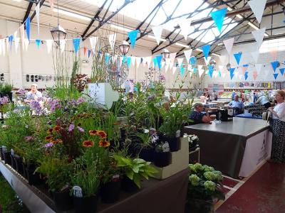 Saay Trestle Market Leek