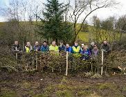 Volunteers with the traditional hedge 