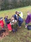 Joe tree  ECO school