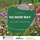 No Mow May